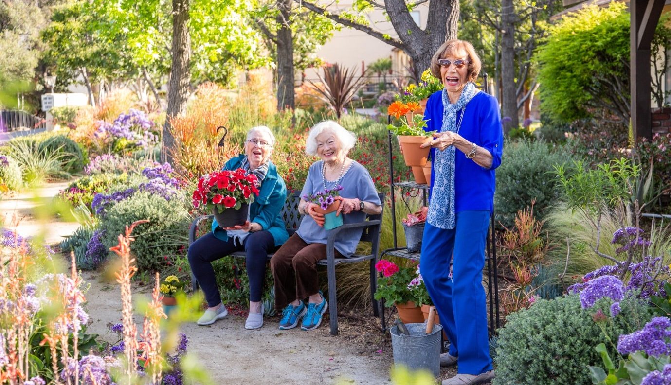 Tips to keep seniors safe during the warm summer weather